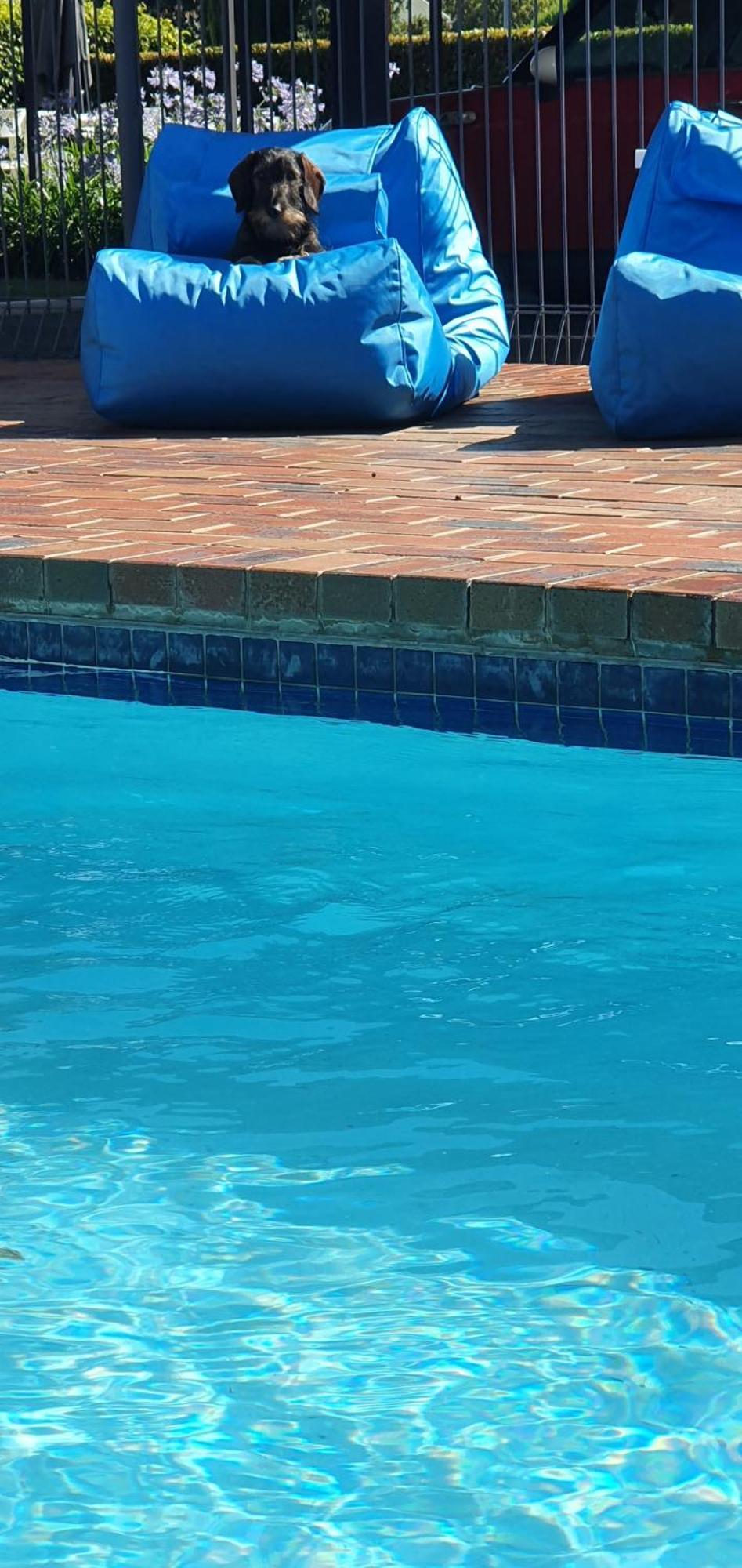 Parkview Motor Inn Wangaratta Zewnętrze zdjęcie